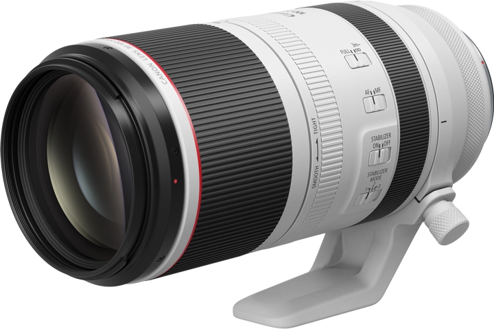 Canon RF 100-500 mm 4.5-7.5 L IS USM