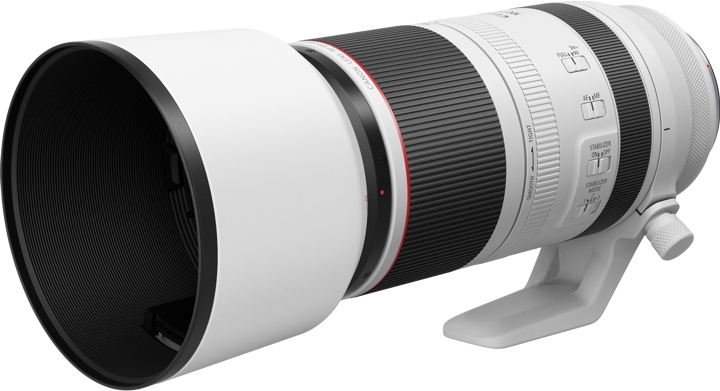 Canon RF 100-500 mm 4.5-7.5 L IS USM