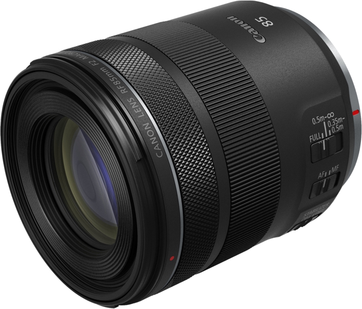 Canon RF 85mm F2.0 Macro IS STM (Makro)