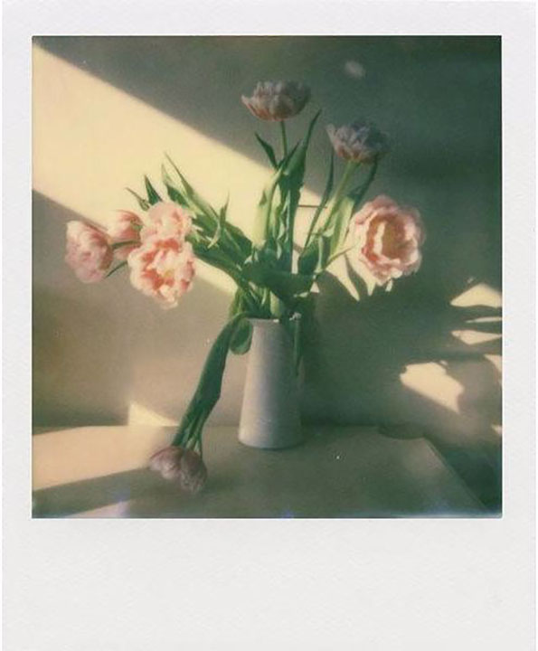 Polaroid I-Type Farve Film