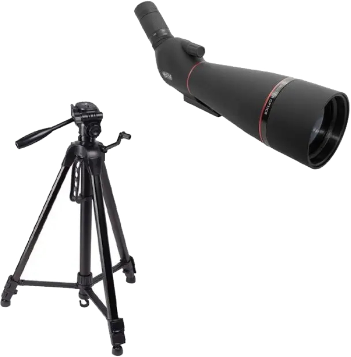 WELTER Classic 20-60x80 Udsigtskikkert m/Stativ